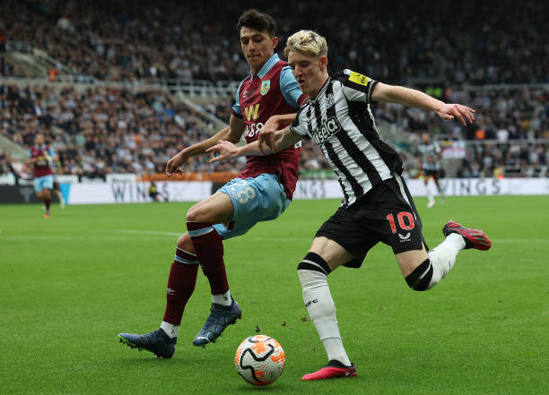 胡博灿的发 胡博灿的发