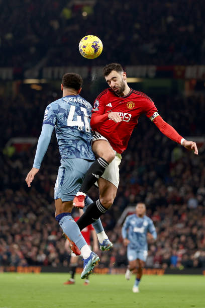 霍维奇的比 霍维奇的比